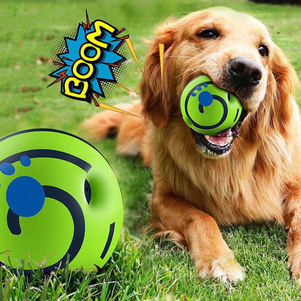Bola Interativa com Sons para Cães